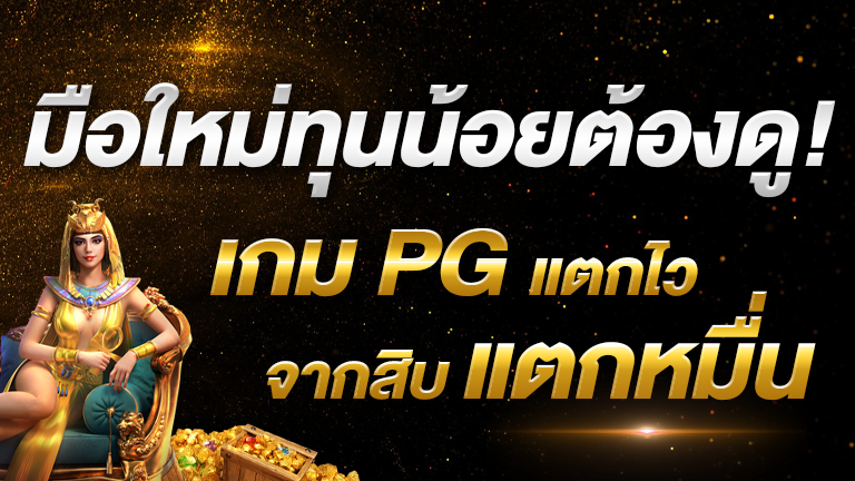 มือใหม่ทุนน้อย